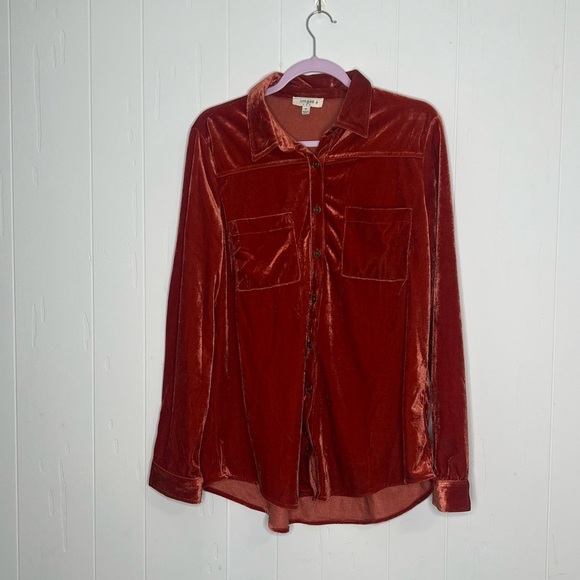 Umgee Velvet button down blouse - Picture 1 of 6